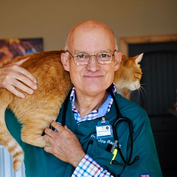 Dr. Joseph Barrett, Olive Branch Veterinarian